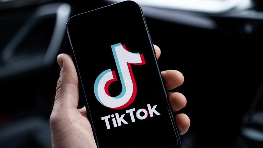 TikTok自助刷粉丝下单平台