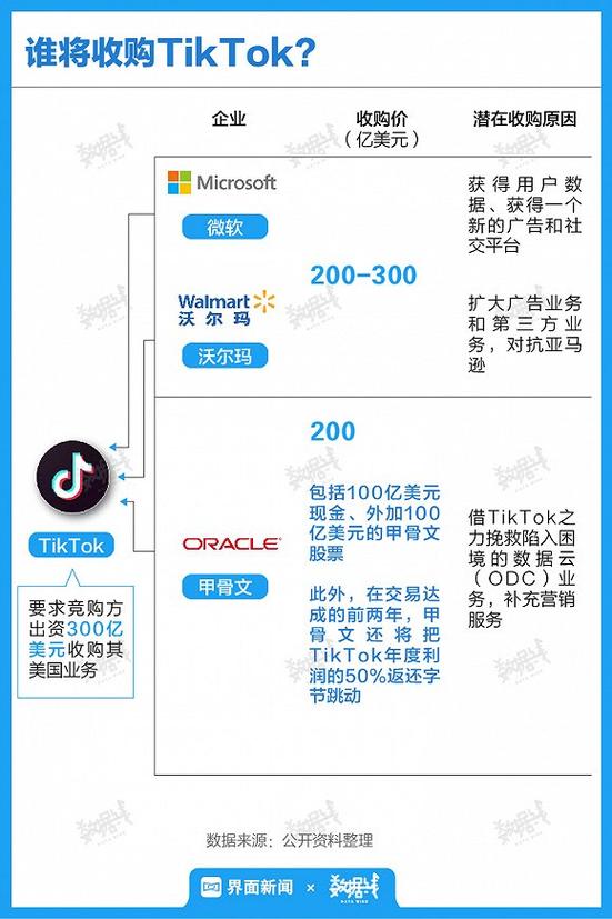 买抖音国际TikTok粉价格是多少,抖音国际TikTok粉价格详解：揭秘市场，助你一臂之力!