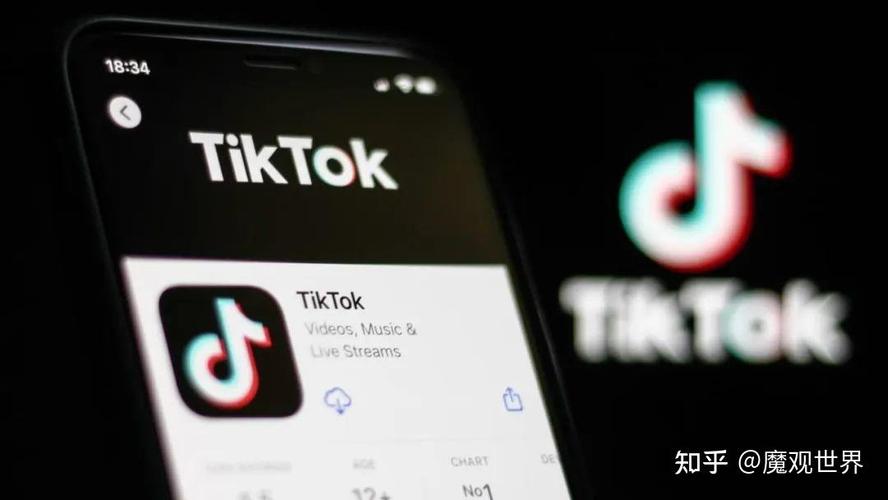 TikTok刷粉哪里买,TikTok刷粉的风险与危害!