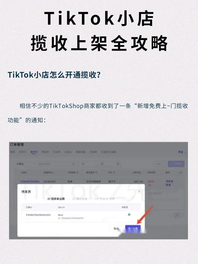 怎么买粉TikTok,购买粉TikTok的正确步骤!