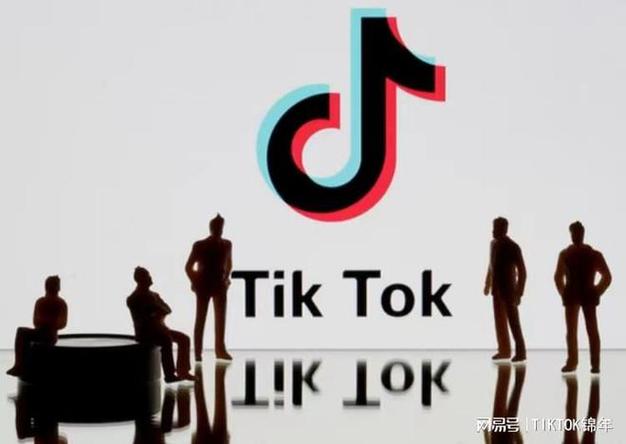 TikTok买100粉关注,TikTok买100粉关注：揭秘背后的真相与影响!