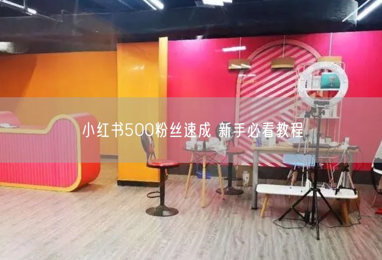 小红书500粉丝速成 新手必看教程