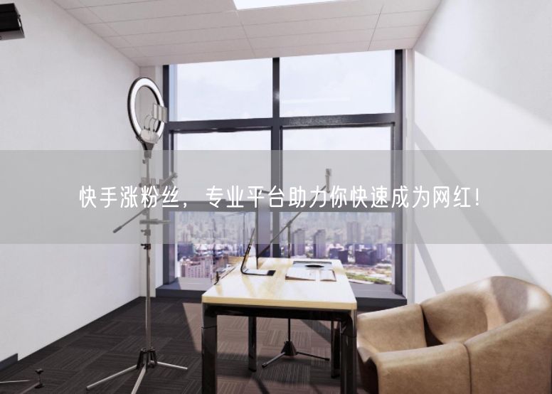 快手涨粉丝，专业平台助力你快速成为网红！